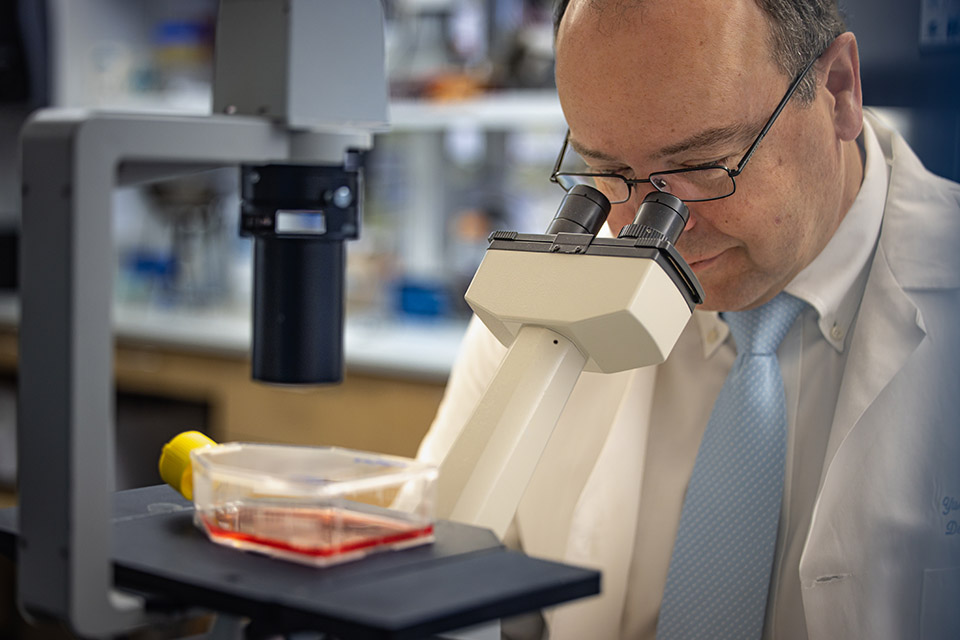 Jeffrey Teckman looks through a microscope.