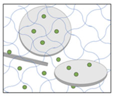 drug release of docetaxel from barium hydrogels