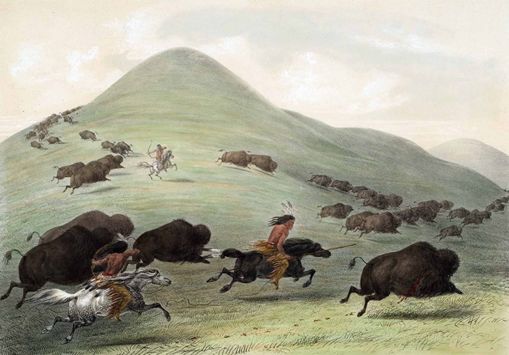 Buffalo Hunt